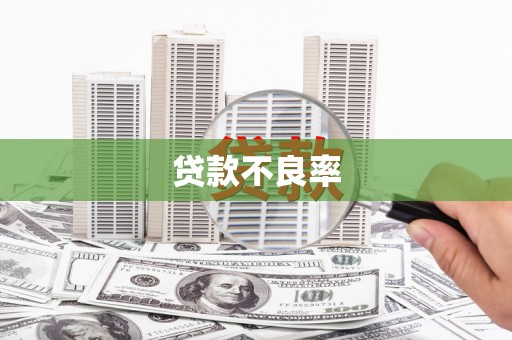 清镇贷款不良率