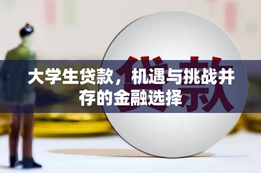 南宫大学生贷款，机遇与挑战并存的金融选择