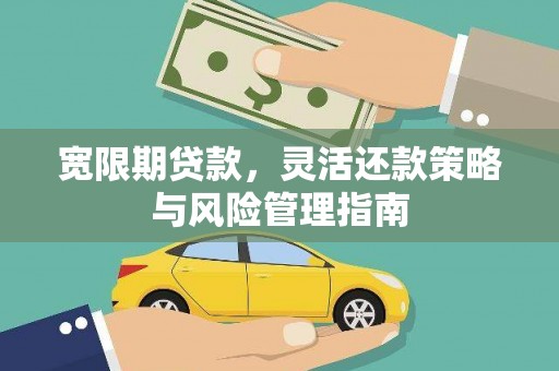岭东宽限期贷款，灵活还款策略与风险管理指南