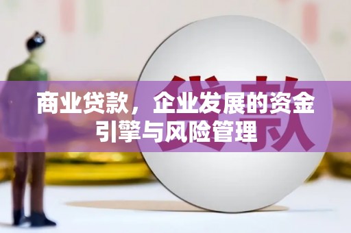 田林商业贷款，企业发展的资金引擎与风险管理
