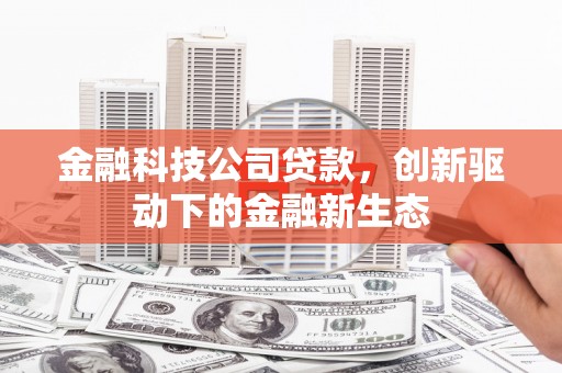 陆丰金融科技公司贷款，创新驱动下的金融新生态