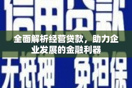 昌乐全面解析经营贷款，助力企业发展的金融利器