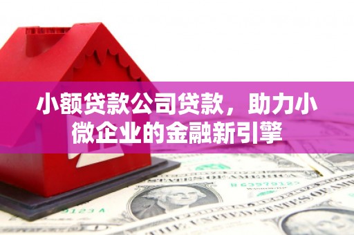 广东小额贷款公司贷款，助力小微企业的金融新引擎