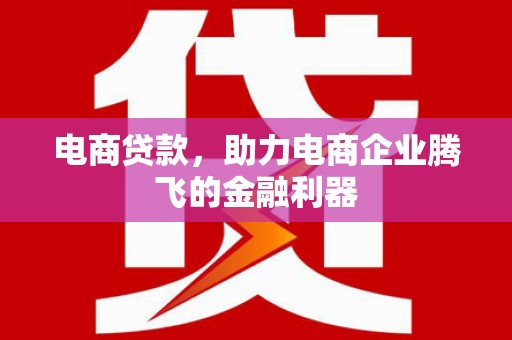 儋州电商贷款，助力电商企业腾飞的金融利器