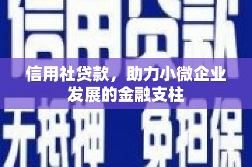 隆子信用社贷款，助力小微企业发展的金融支柱