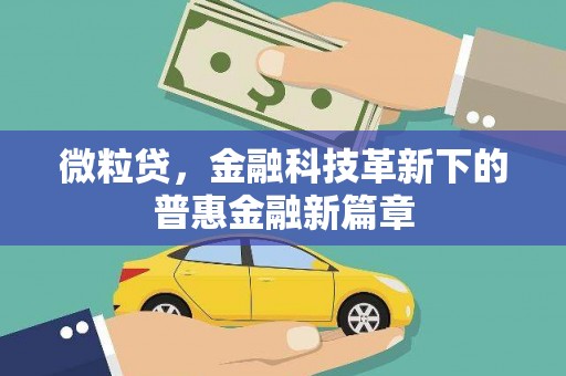嘉禾微粒贷，金融科技革新下的普惠金融新篇章