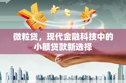 临猗微粒贷，现代金融科技中的小额贷款新选择
