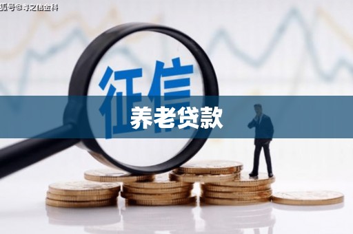 南湖养老贷款