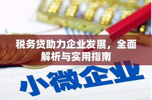 鹤庆税务贷助力企业发展，全面解析与实用指南