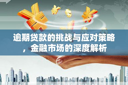 嘉黎逾期贷款的挑战与应对策略，金融市场的深度解析