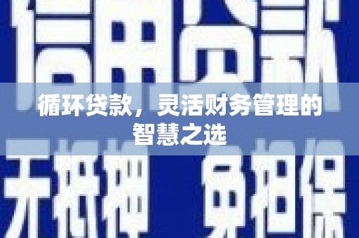 泸溪循环贷款，灵活财务管理的智慧之选
