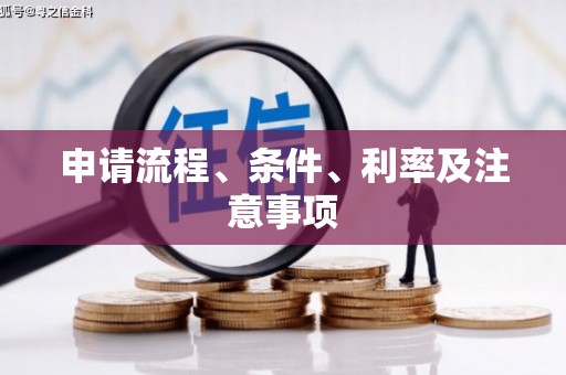城区申请流程、条件、利率及注意事项