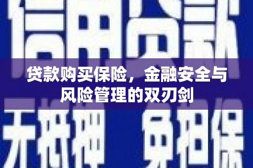 始兴贷款购买保险，金融安全与风险管理的双刃剑