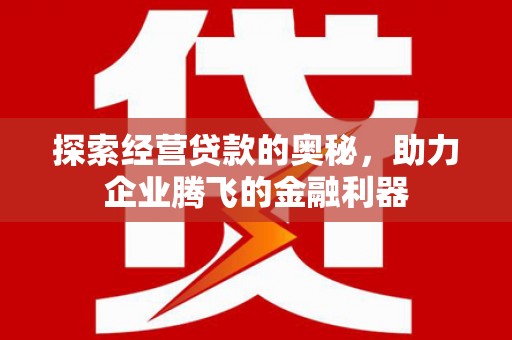 岭东探索经营贷款的奥秘，助力企业腾飞的金融利器