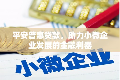 福州平安普惠贷款，助力小微企业发展的金融利器