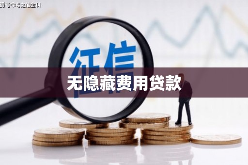 临安无隐藏费用贷款