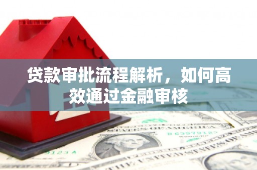 巍山贷款审批流程解析，如何高效通过金融审核