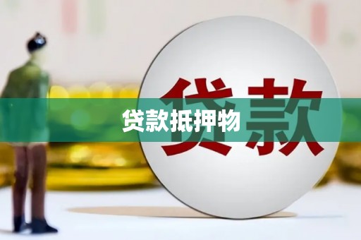 尼玛贷款抵押物