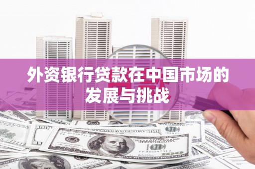 公安外资银行贷款在中国市场的发展与挑战