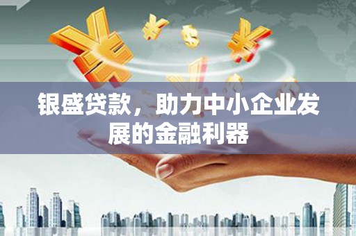 特克斯银盛贷款，助力中小企业发展的金融利器