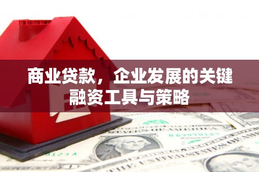 乐清商业贷款，企业发展的关键融资工具与策略