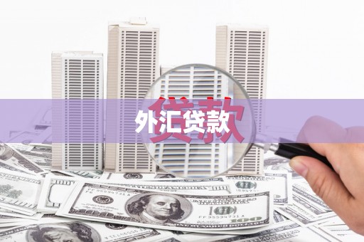 莺歌外汇贷款