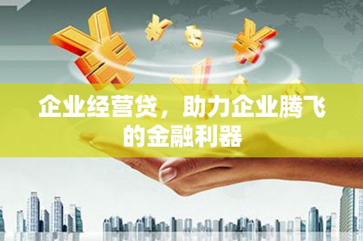 灵台企业经营贷，助力企业腾飞的金融利器