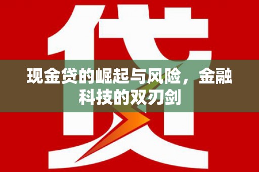 宜秀现金贷的崛起与风险，金融科技的双刃剑