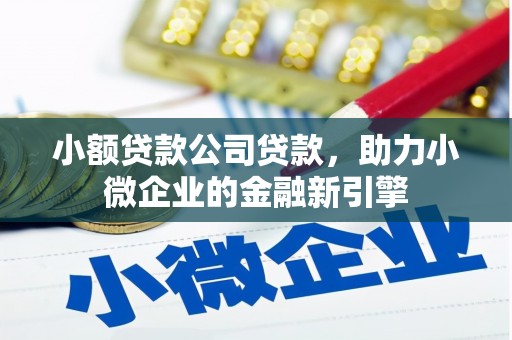 延平小额贷款公司贷款，助力小微企业的金融新引擎