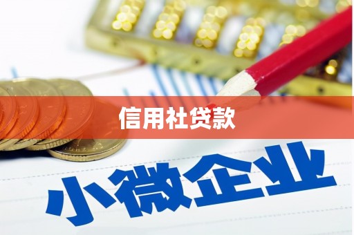西华信用社贷款