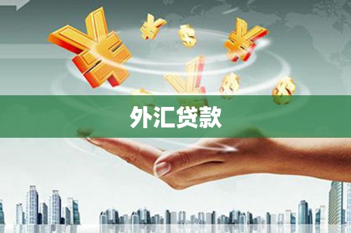 尉犁外汇贷款