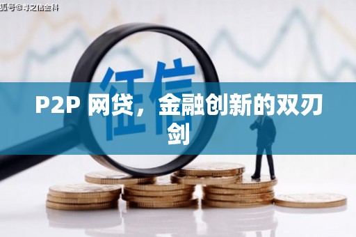莎车P2P 网贷，金融创新的双刃剑