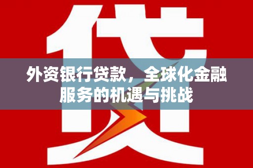 琼中外资银行贷款，全球化金融服务的机遇与挑战