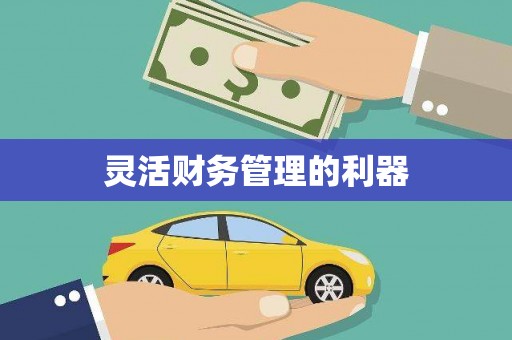 邵阳县灵活财务管理的利器