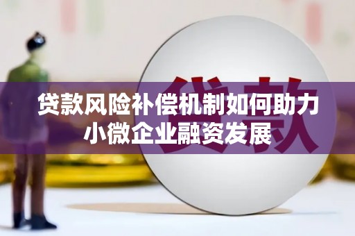 台西贷款风险补偿机制如何助力小微企业融资发展