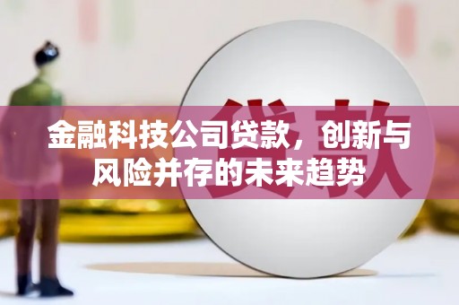 关西金融科技公司贷款，创新与风险并存的未来趋势