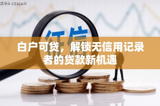 颍东白户可贷，解锁无信用记录者的贷款新机遇