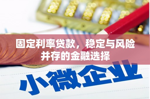 弥陀固定利率贷款，稳定与风险并存的金融选择