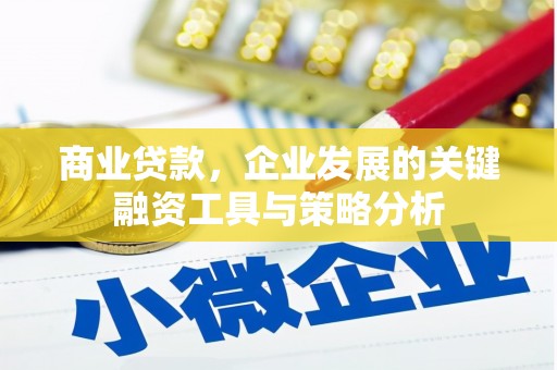 云南商业贷款，企业发展的关键融资工具与策略分析