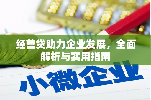 游仙经营贷助力企业发展，全面解析与实用指南