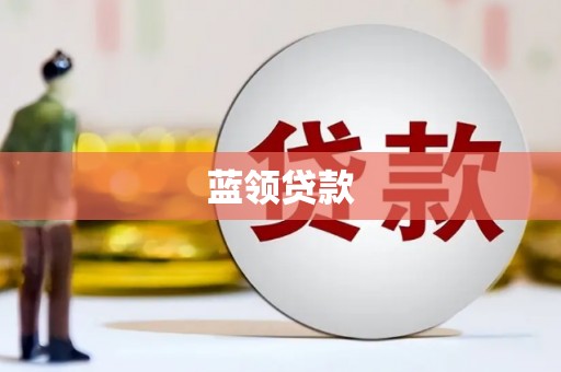 台西蓝领贷款