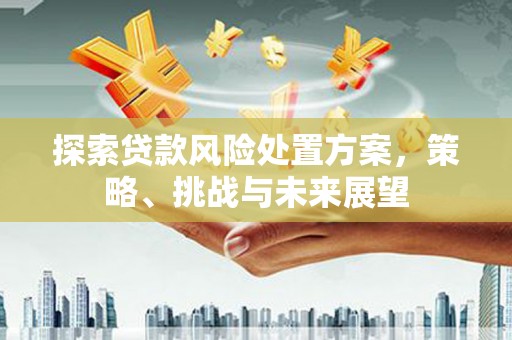 印台探索贷款风险处置方案，策略、挑战与未来展望