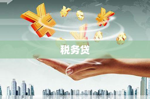盂县税务贷