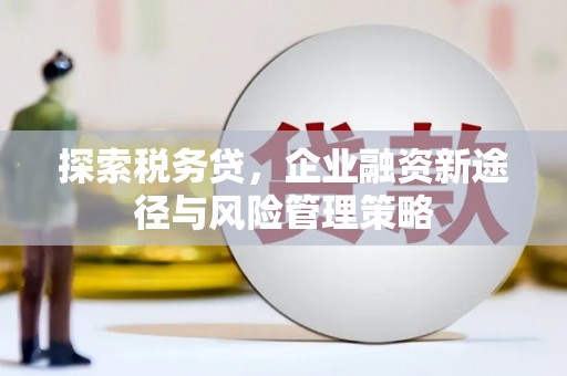 裕民探索税务贷，企业融资新途径与风险管理策略