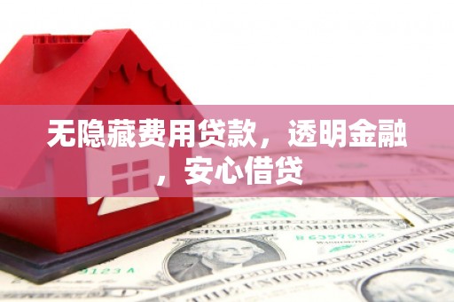和政无隐藏费用贷款，透明金融，安心借贷