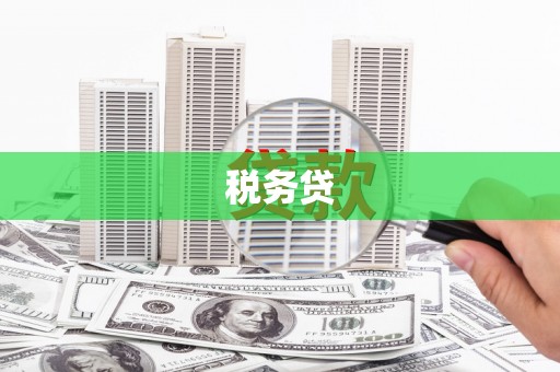 龙安税务贷