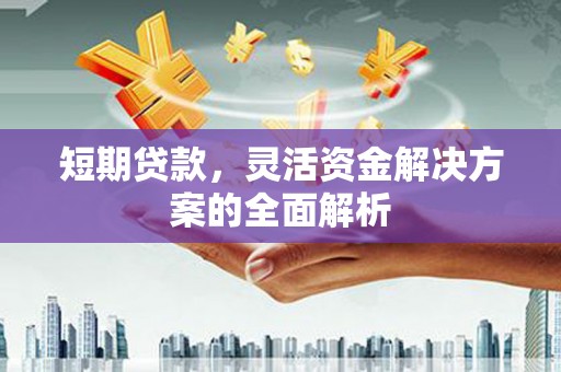 岳阳短期贷款，灵活资金解决方案的全面解析