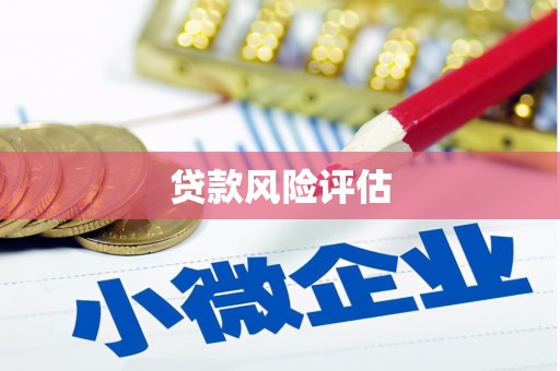 玛纳斯贷款风险评估
