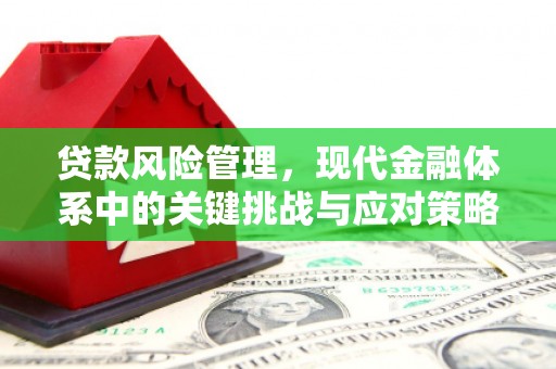 龙游贷款风险管理，现代金融体系中的关键挑战与应对策略