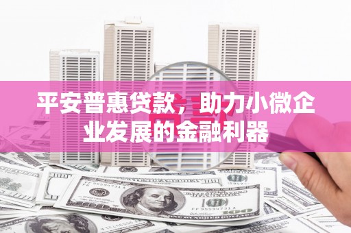 中和平安普惠贷款，助力小微企业发展的金融利器